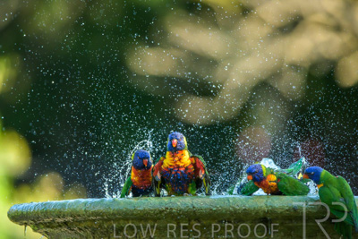 September 2023 / Wildlife_230929_Z9C5167