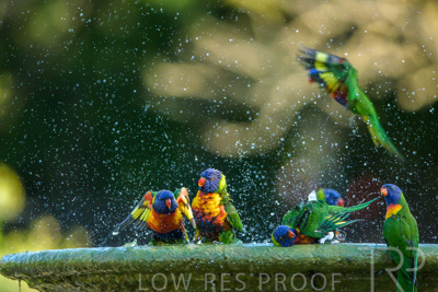 September 2023 / Wildlife_230929_Z9C5171