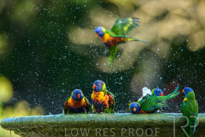 September 2023 / Wildlife_230929_Z9C5172