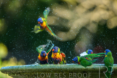 September 2023 / Wildlife_230929_Z9C5173