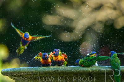 September 2023 / Wildlife_230929_Z9C5175