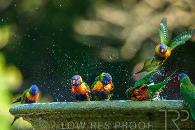 September 2023 / Wildlife_230929_Z9C5178