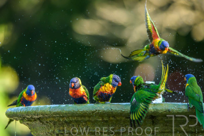 September 2023 / Wildlife_230929_Z9C5179