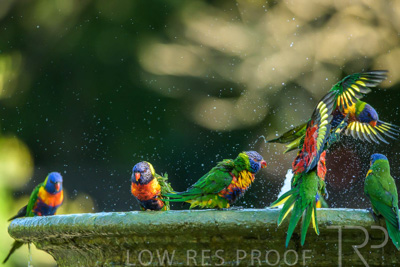 September 2023 / Wildlife_230929_Z9C5181