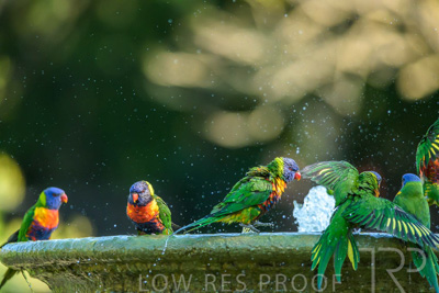 September 2023 / Wildlife_230929_Z9C5182