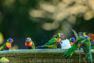 September 2023 / Wildlife_230929_Z9C5183