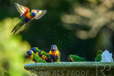 September 2023 / Wildlife_230929_Z9C5235