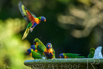 September 2023 / Wildlife_230929_Z9C5237