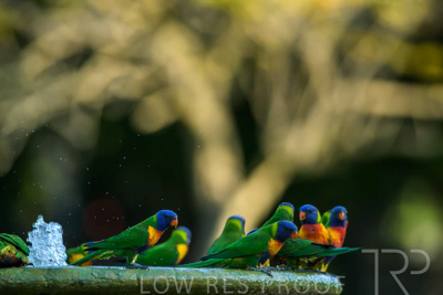 September 2023 / Wildlife_230929_Z9C5279