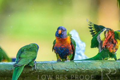 September 2023 / Wildlife_230929_Z9C5319