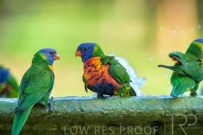 September 2023 / Wildlife_230929_Z9C5329