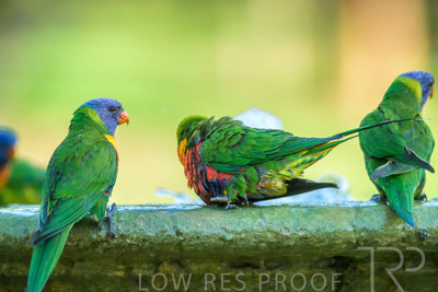 September 2023 / Wildlife_230929_Z9C5334