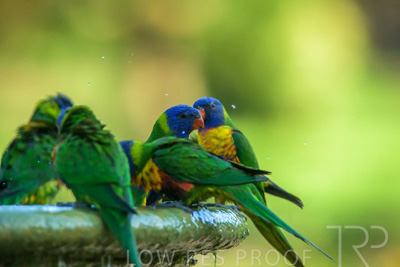 September 2023 / Wildlife_230929_Z9C5386