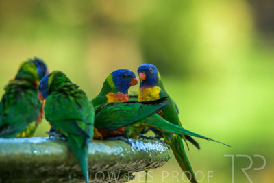 September 2023 / Wildlife_230929_Z9C5393