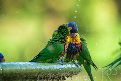 September 2023 / Wildlife_230929_Z9C5445