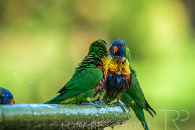 September 2023 / Wildlife_230929_Z9C5451