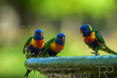 September 2023 / Wildlife_230929_Z9C5490