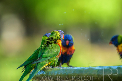 September 2023 / Wildlife_230929_Z9C5510