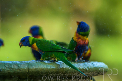 September 2023 / Wildlife_230929_Z9C5548