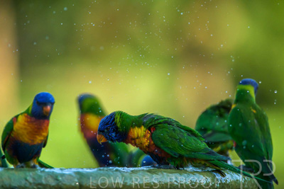 September 2023 / Wildlife_230929_Z9C5619