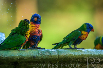 September 2023 / Wildlife_230929_Z9C5690