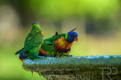 September 2023 / Wildlife_230929_Z9C5892