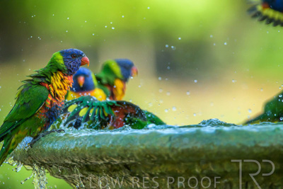 September 2023 / Wildlife_230929_Z9C5928