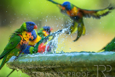 September 2023 / Wildlife_230929_Z9C5930