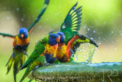 September 2023 / Wildlife_230929_Z9C5935