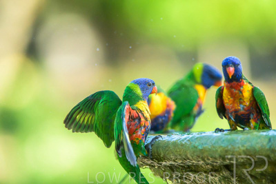 September 2023 / Wildlife_230929_Z9C5946