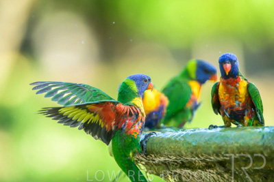 September 2023 / Wildlife_230929_Z9C5947