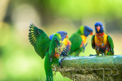 September 2023 / Wildlife_230929_Z9C5948