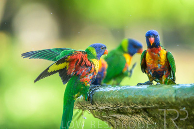 September 2023 / Wildlife_230929_Z9C5949