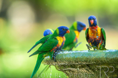 September 2023 / Wildlife_230929_Z9C5950