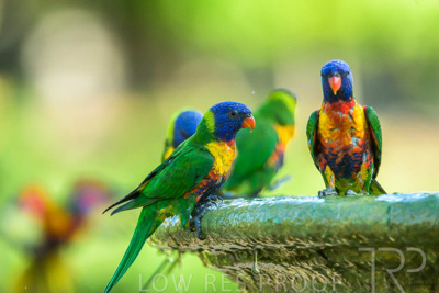 September 2023 / Wildlife_230929_Z9C5952