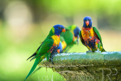 September 2023 / Wildlife_230929_Z9C5957