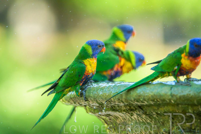 September 2023 / Wildlife_230929_Z9C5981