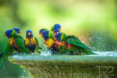 September 2023 / Wildlife_230929_Z9C6025