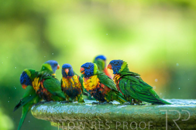 September 2023 / Wildlife_230929_Z9C6033