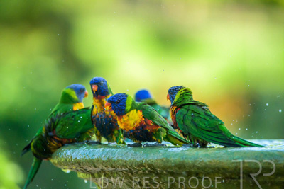 September 2023 / Wildlife_230929_Z9C6037