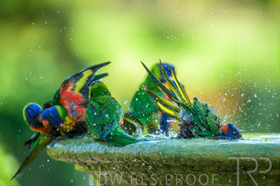 September 2023 / Wildlife_230929_Z9C6061