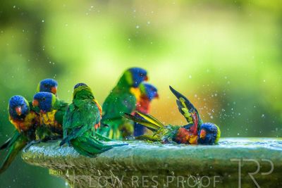 September 2023 / Wildlife_230929_Z9C6066