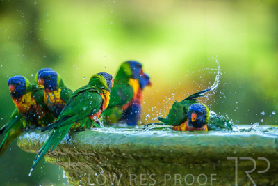 September 2023 / Wildlife_230929_Z9C6071