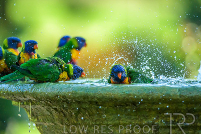 September 2023 / Wildlife_230929_Z9C6078