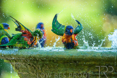 September 2023 / Wildlife_230929_Z9C6088