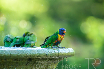 September 2023 / Wildlife_230929_Z9C6162