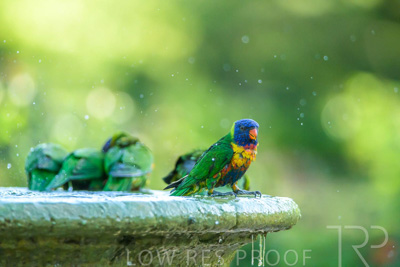 September 2023 / Wildlife_230929_Z9C6166