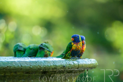 September 2023 / Wildlife_230929_Z9C6192