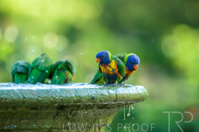 September 2023 / Wildlife_230929_Z9C6216