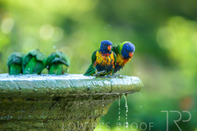 September 2023 / Wildlife_230929_Z9C6220